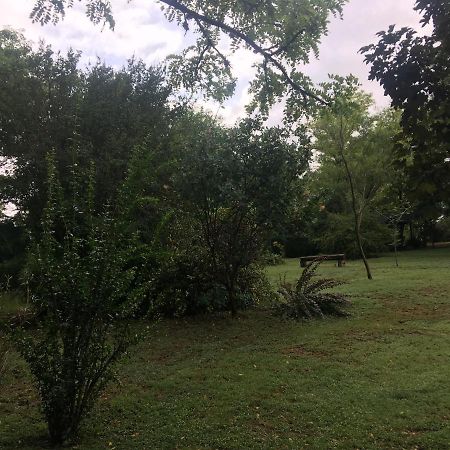 Luna Cautiva Casa De Campo Ξενοδοχείο Santa Rosa de Calamuchita Εξωτερικό φωτογραφία