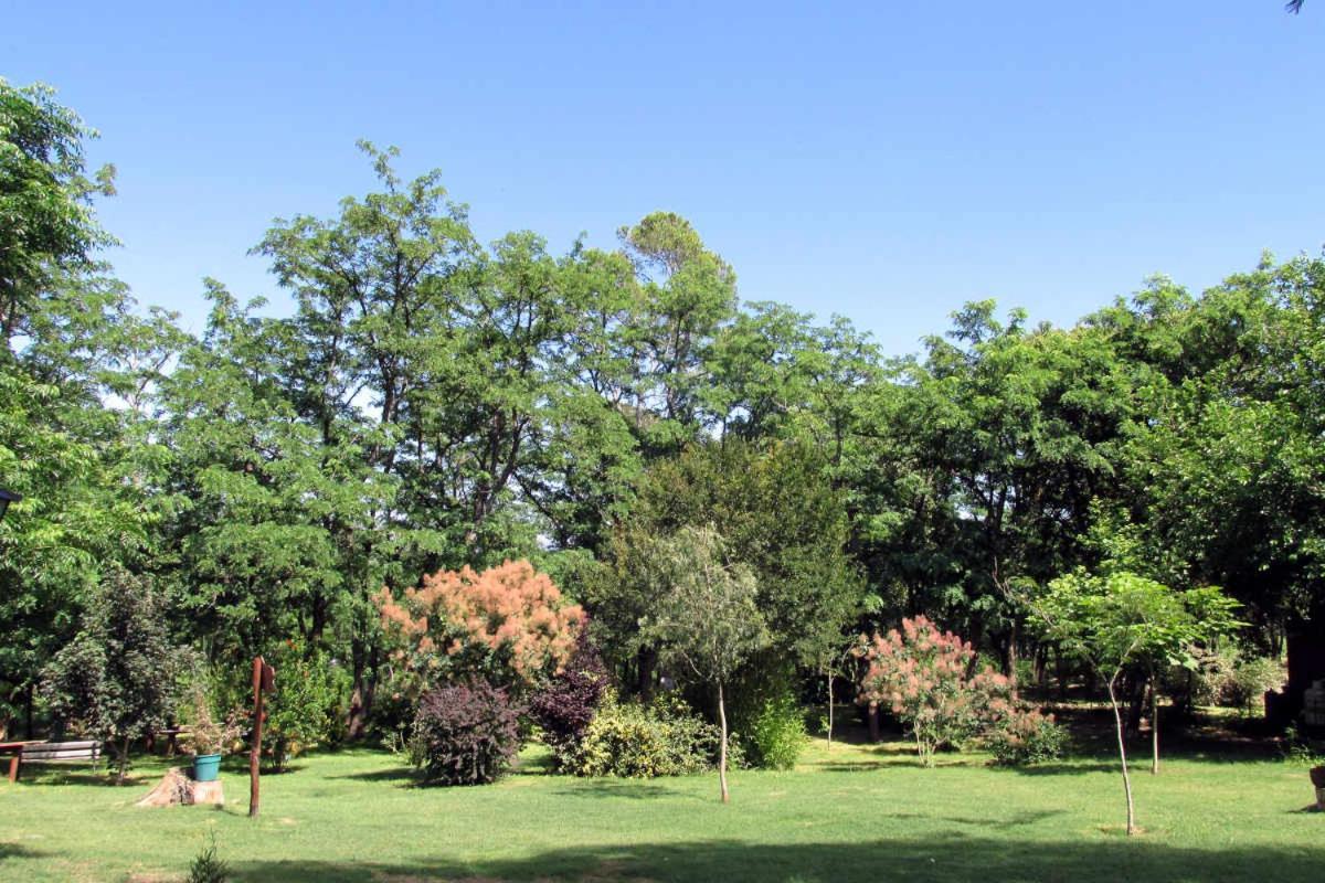 Luna Cautiva Casa De Campo Ξενοδοχείο Santa Rosa de Calamuchita Εξωτερικό φωτογραφία