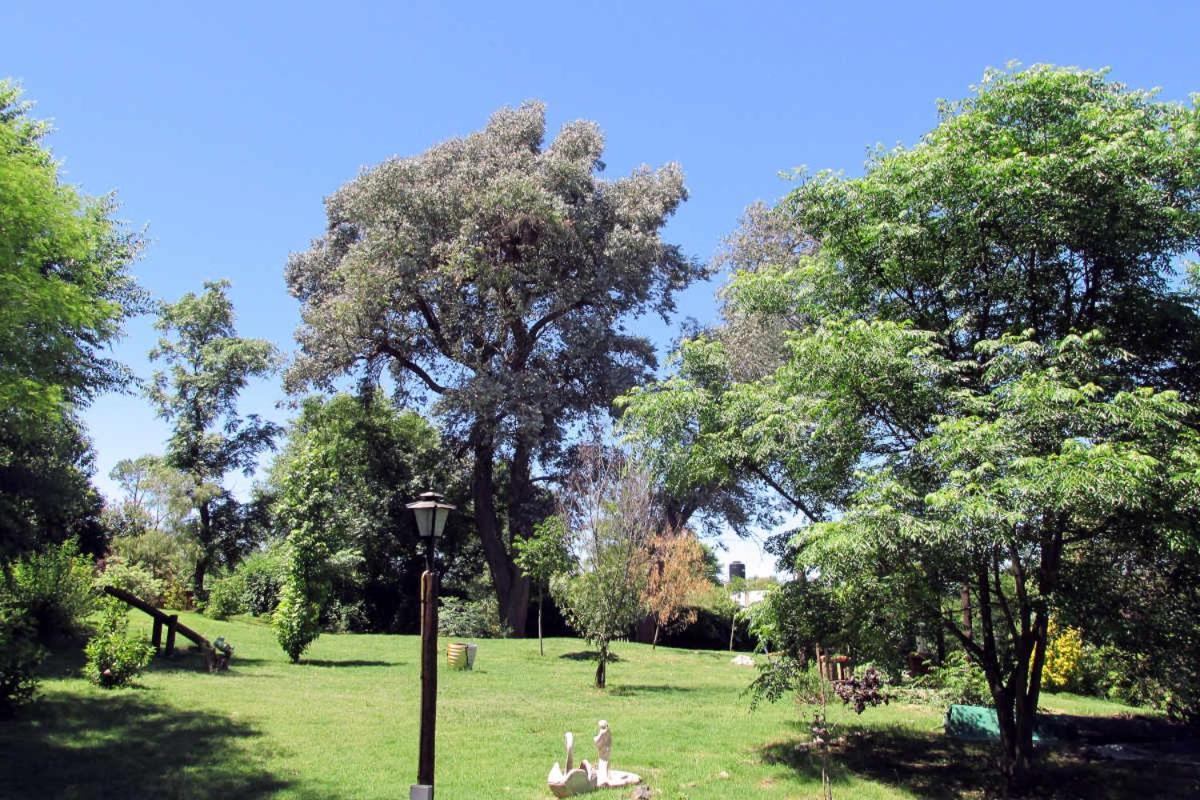 Luna Cautiva Casa De Campo Ξενοδοχείο Santa Rosa de Calamuchita Εξωτερικό φωτογραφία